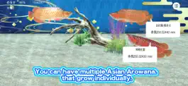 Game screenshot My Asian arowana Aquarium hack