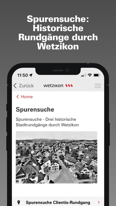 Stadt Wetzikon Screenshot