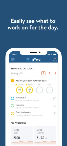 Game screenshot BluFox apk