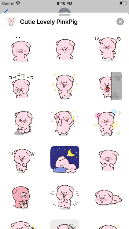 Cutie Lovely PinkPig