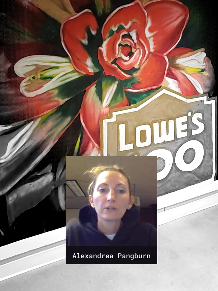 Lowes Tech Hub Experience