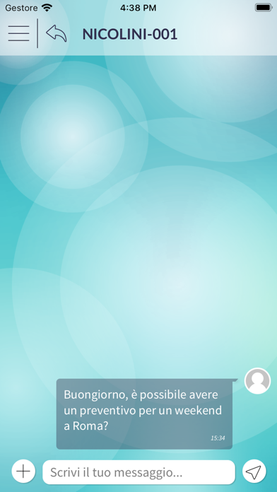 Nicolini Viaggi Screenshot