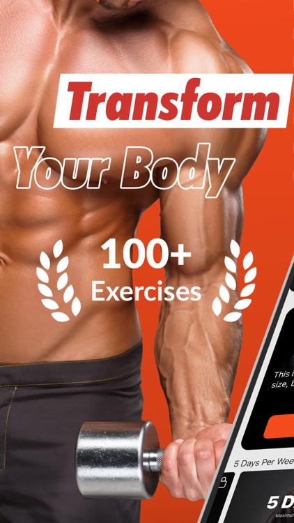 Muscle Building Workout Split