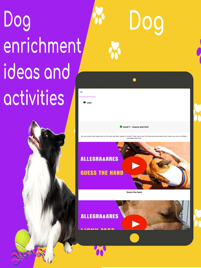 Geppaw Dog Enrichment Academy