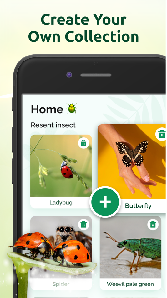 #3. Bug Identifier. Picture Insect (iOS) Podle: Apps Labs
