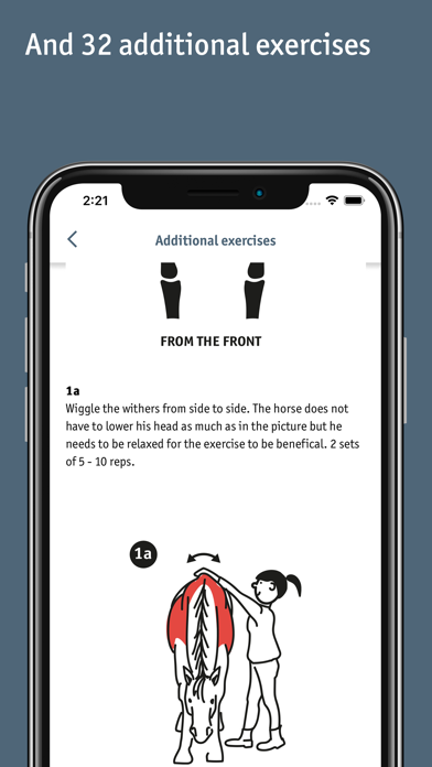 Equibodybalance Screenshot