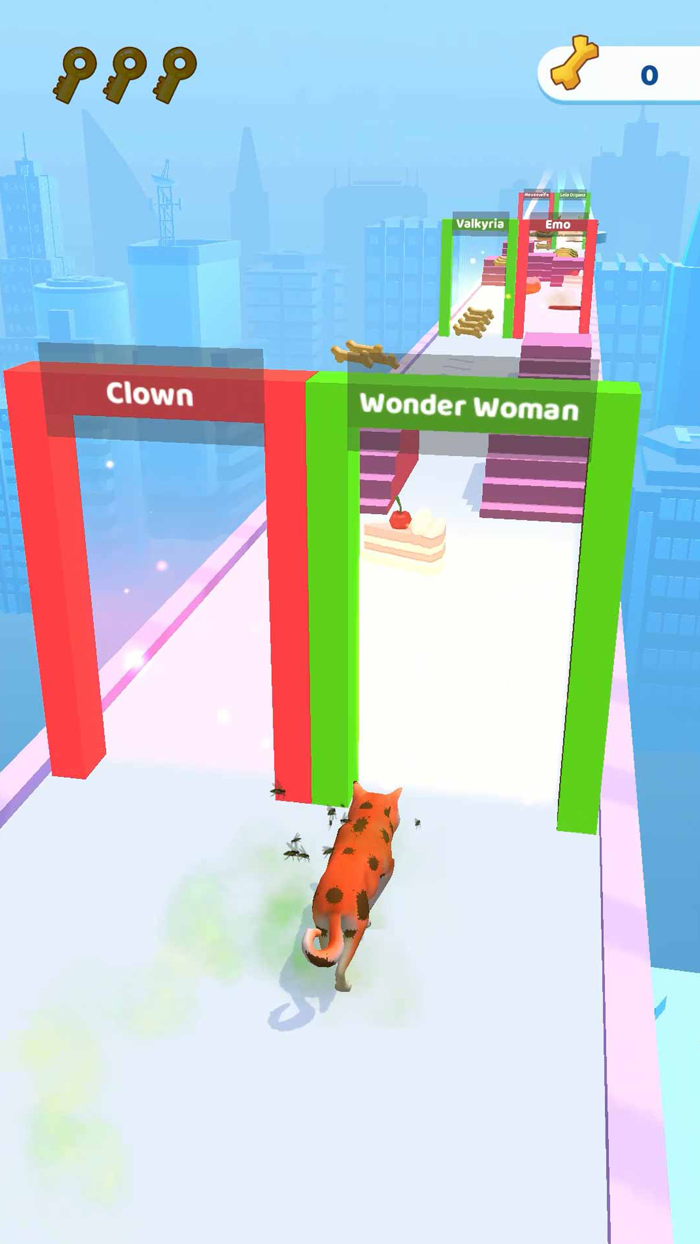 Groomer run 3D
