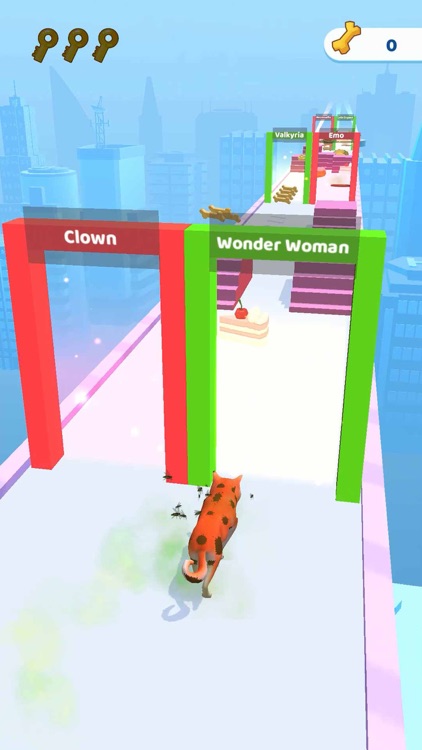 Groomer run 3D