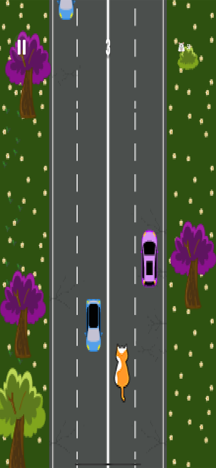 Cat Rush - Catch the Mouse