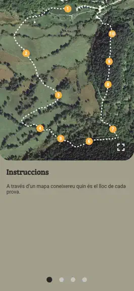 Game screenshot El camí del gat salvatge apk