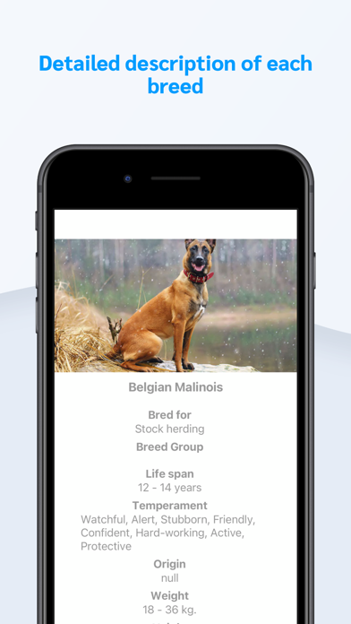 Dog Breeds Guid Screenshot