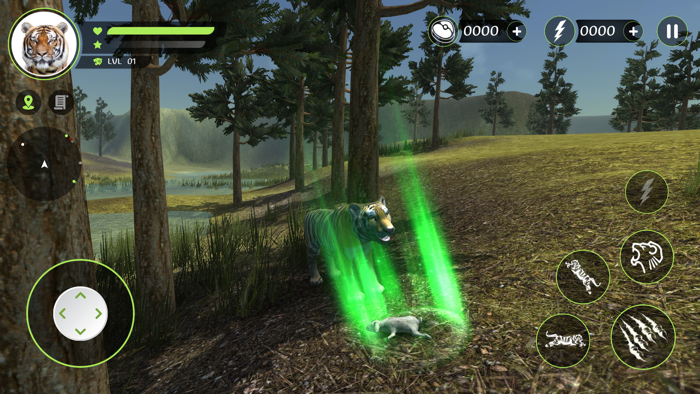 Wild Tiger Hunting Animal Life