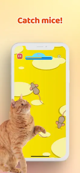 Game screenshot Games for Cats－Mouse & Laser mod apk