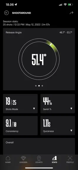 Game screenshot SIQ Basketball apk