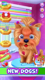 puppy simulator pet dog games iphone screenshot 2