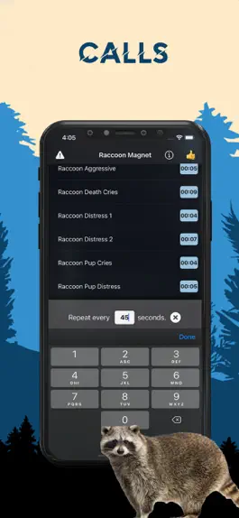 Game screenshot Raccoon Magnet–Raccoon Sounds hack