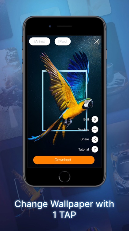 AirLive- Live wallpaper maker screenshot-6