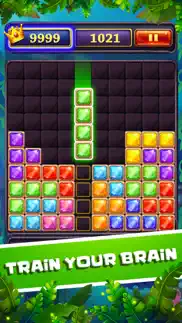 jewel block brick puzzle iphone screenshot 2