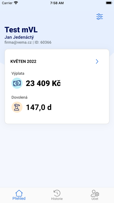 Výplatní lístek Screenshot