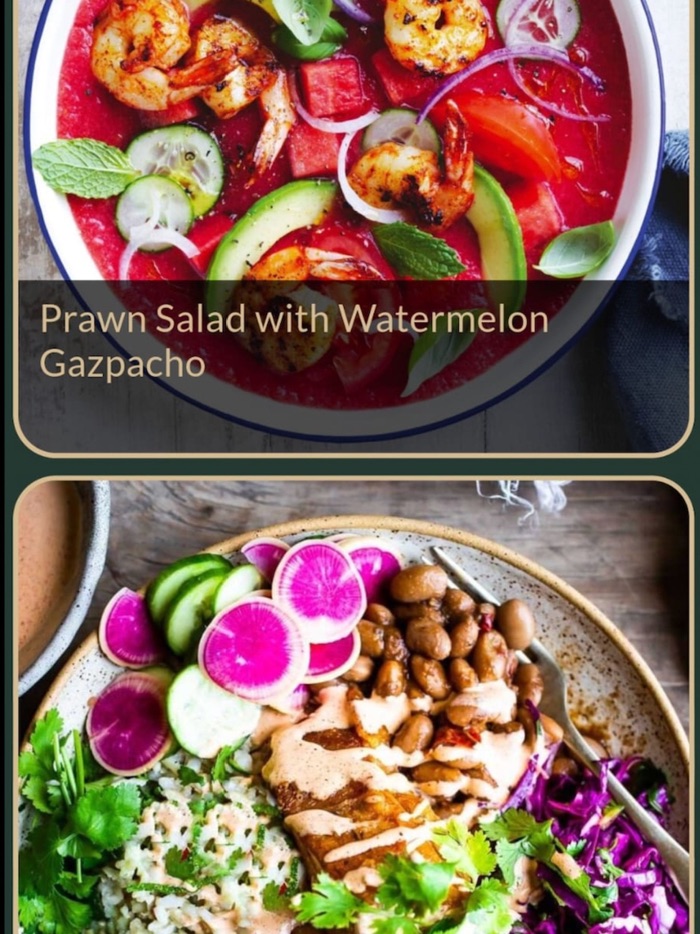 Fit Person Recipes Plus