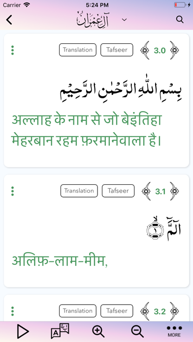 Quran Hindi 360 Screenshot