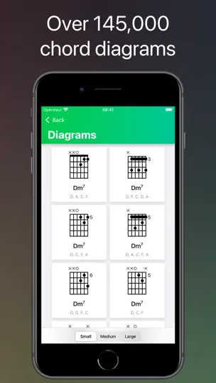 ChordShapes : Guitar Chords iPhone Ekran Görüntüsü 3