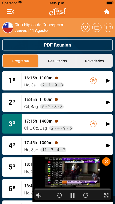 Elturf.com Screenshot