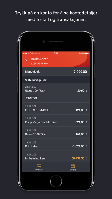 DinBank Mobilbank Screenshot