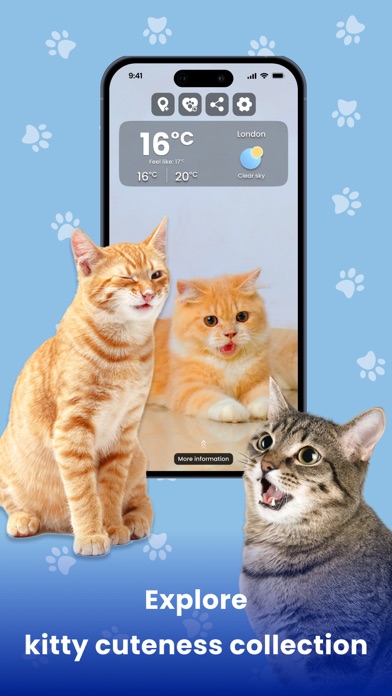 Weather Kitty - Cute Cat radar Screenshot