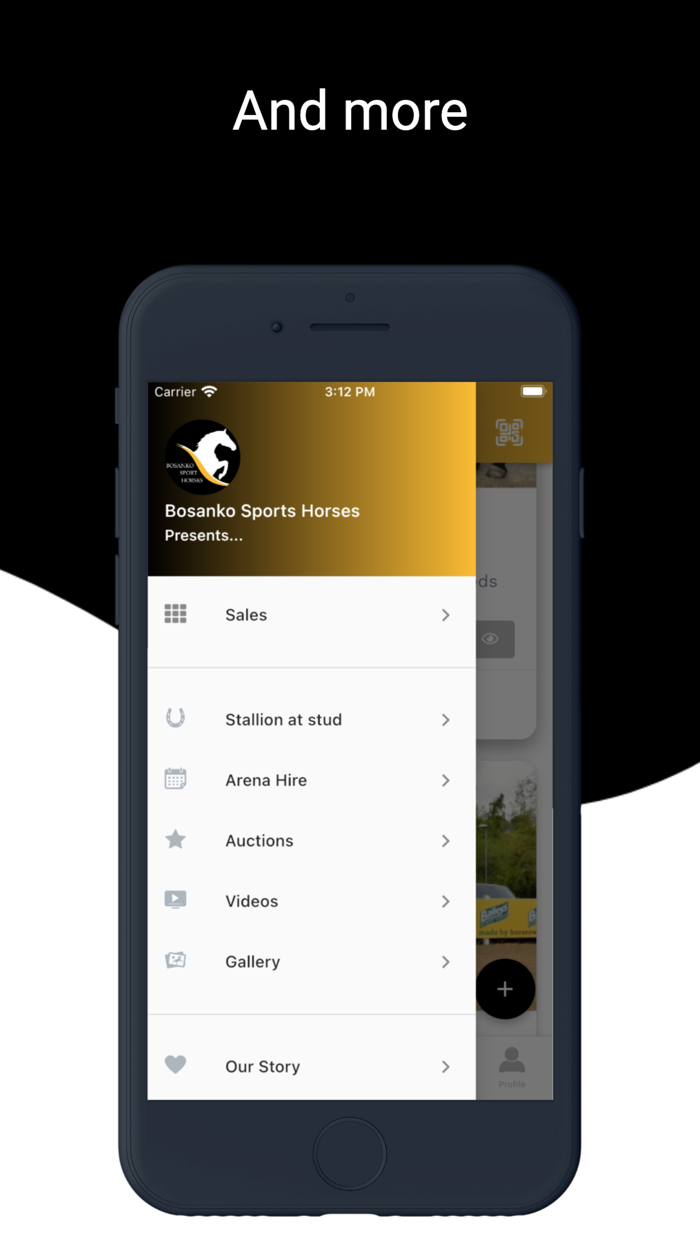 Bosanko Sports Horses