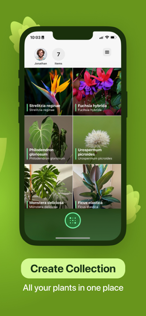 ‎Leaf Identification Screenshot