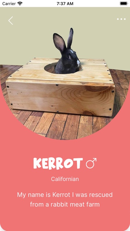Petspaceph