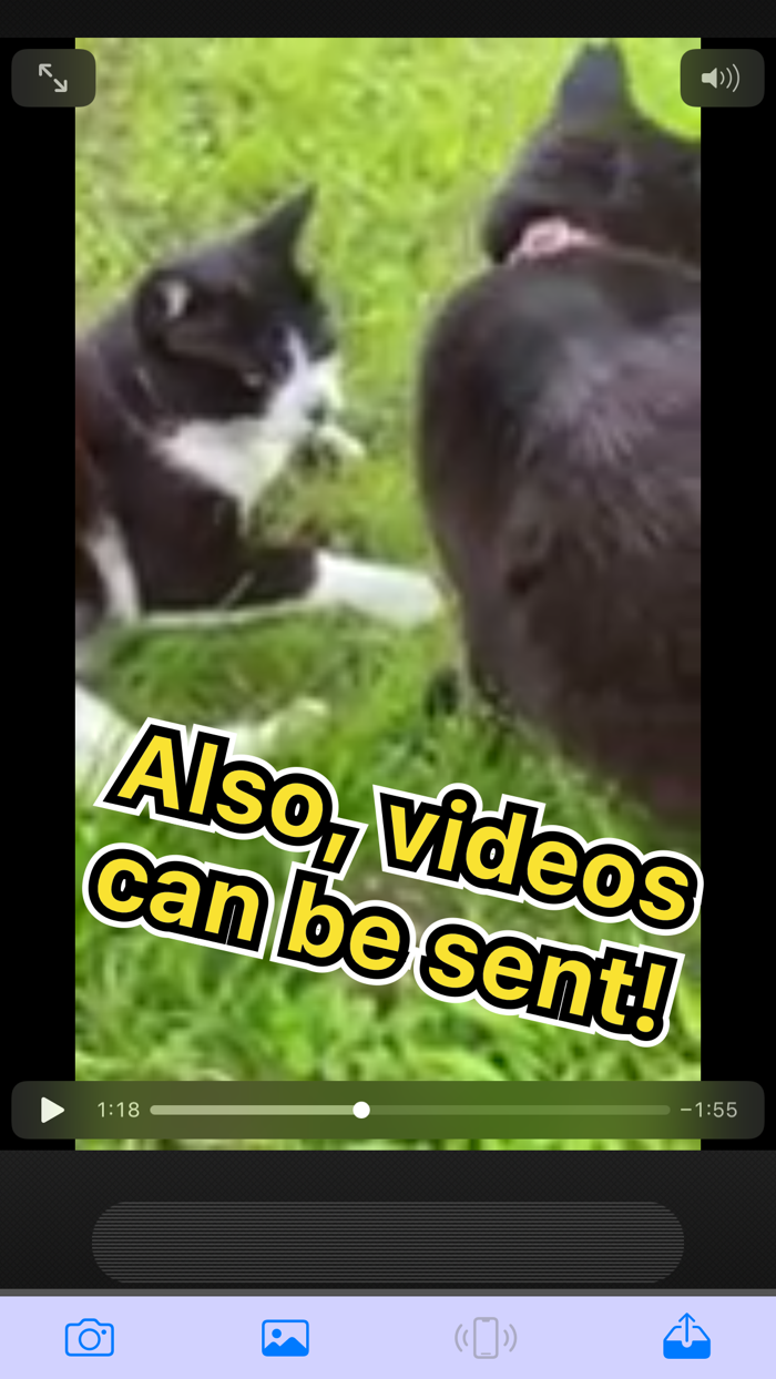 BlueTransLite - Easy sharing