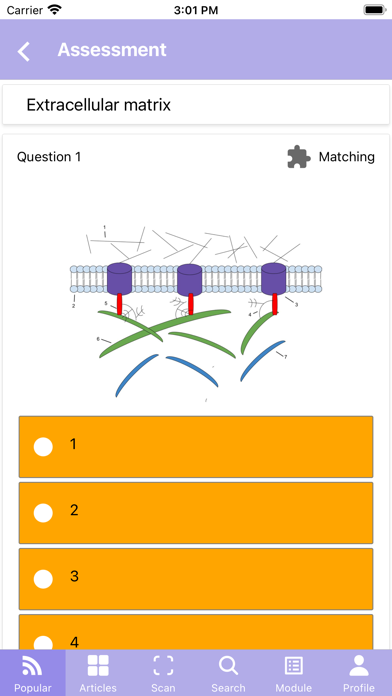 Cosmetic Chemistry HKBU Screenshot