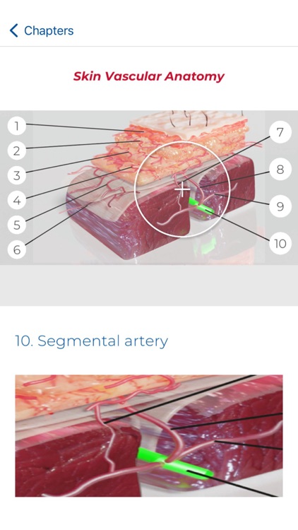AmoSmile screenshot-3