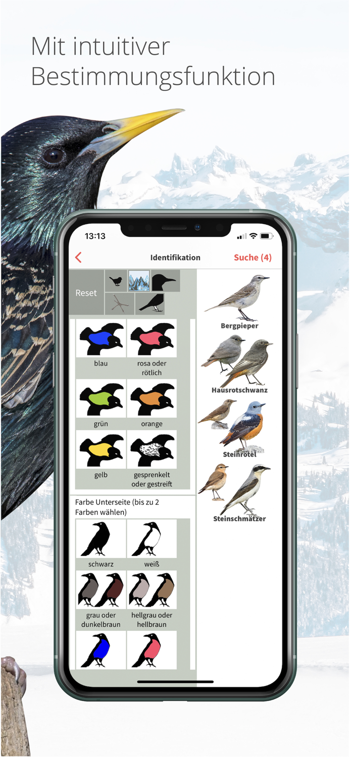 Vogelführer Birdlife Schweiz