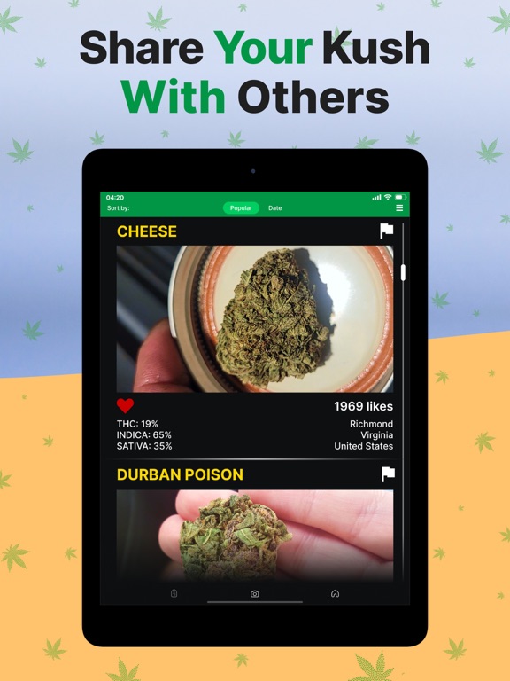 THC Weed Identifier: Kush Scan iPad screenshot 8 - Medical app