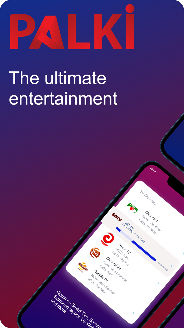 Palki TV