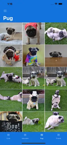 Game screenshot Dog Pictures hack