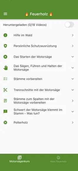 Game screenshot Feuerholz apk