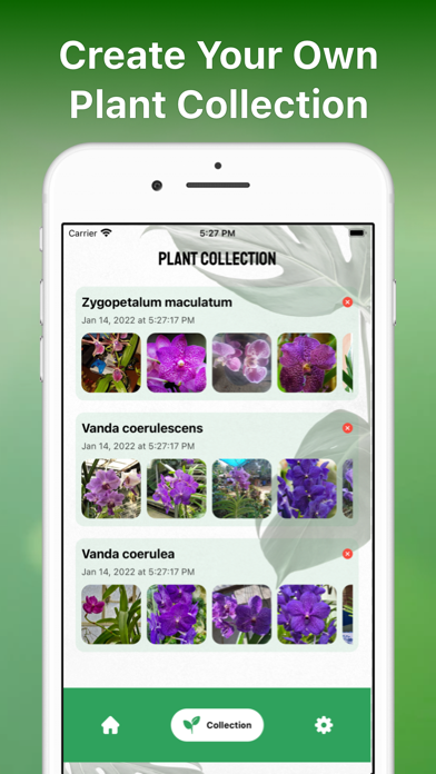 Plant Identifier Aрр Plant ID Screenshot