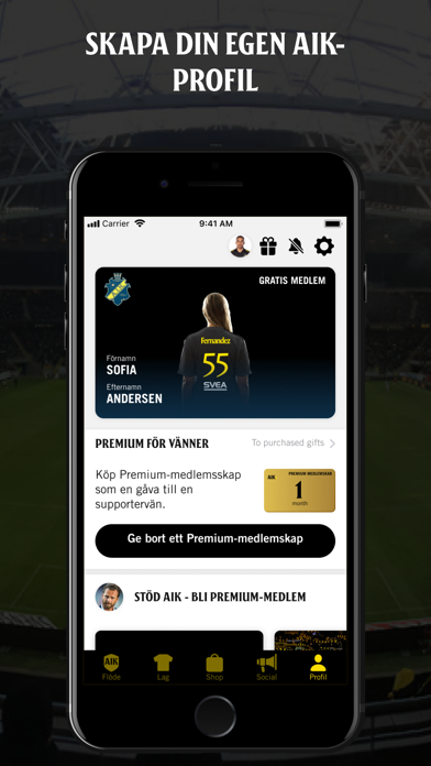 AIK+ Screenshot