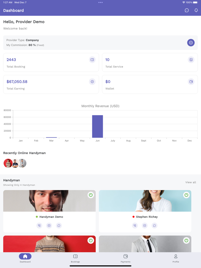 Handyman Service for Provider