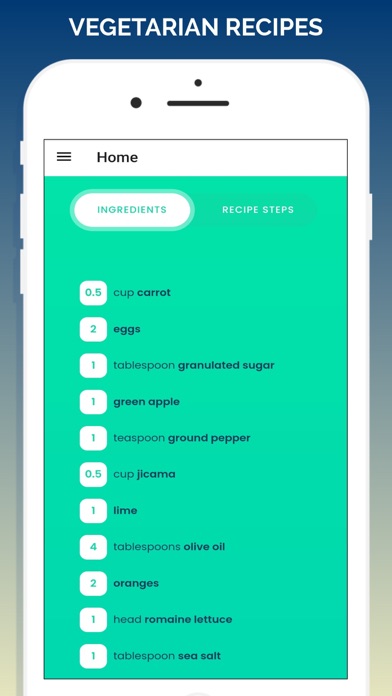 Vegetarian Recipes Healthy Screenshot