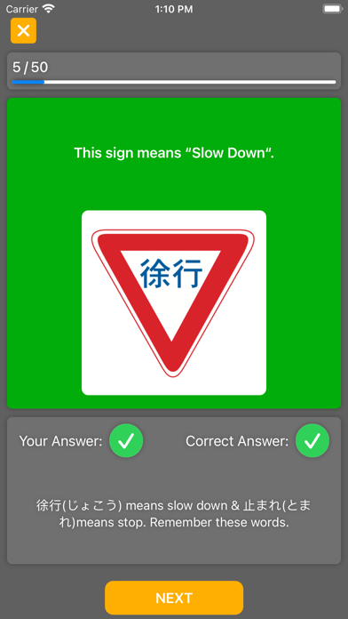 JP Driver's License Screenshot