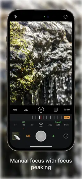 Game screenshot Optika – Manual Camera apk