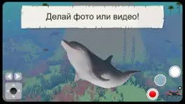 Game screenshot Дикие животные 3D Cафари apk