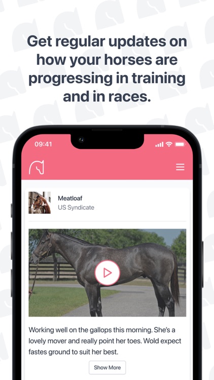 Stride - Horse Racing