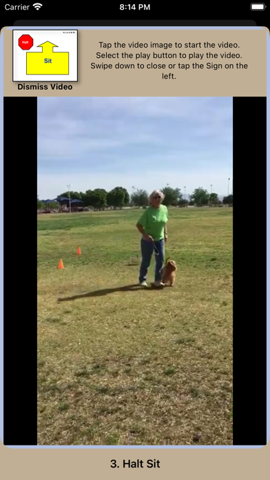 Pocket Rally Dog Obedience Screenshot