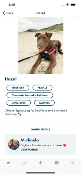 Game screenshot DogFrens hack